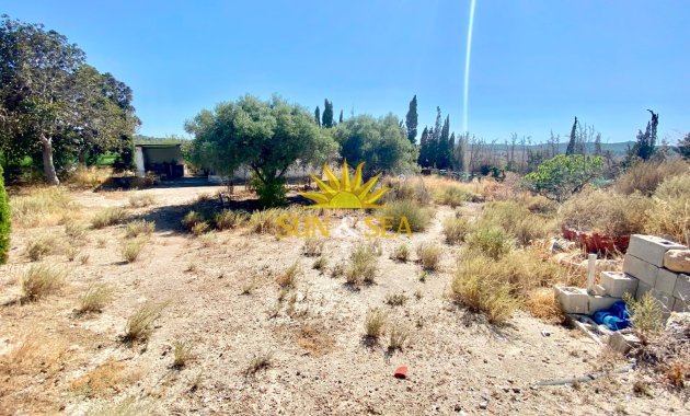 Reventa - Finca -  - San Miguel de Salinas