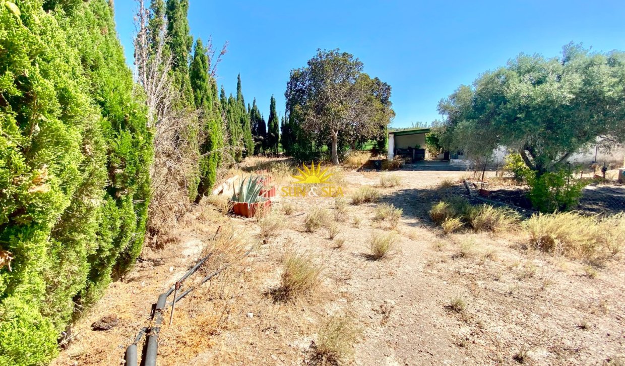 Reventa - Finca -  - San Miguel de Salinas