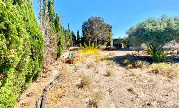 Reventa - Finca -  - San Miguel de Salinas
