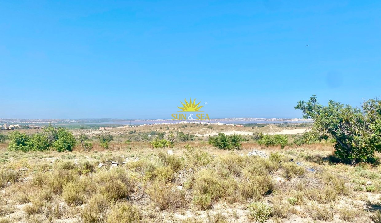 Reventa - Finca -  - San Miguel de Salinas