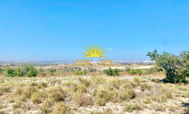 Reventa - Finca -  - San Miguel de Salinas