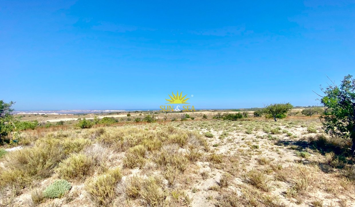 Reventa - Finca -  - San Miguel de Salinas