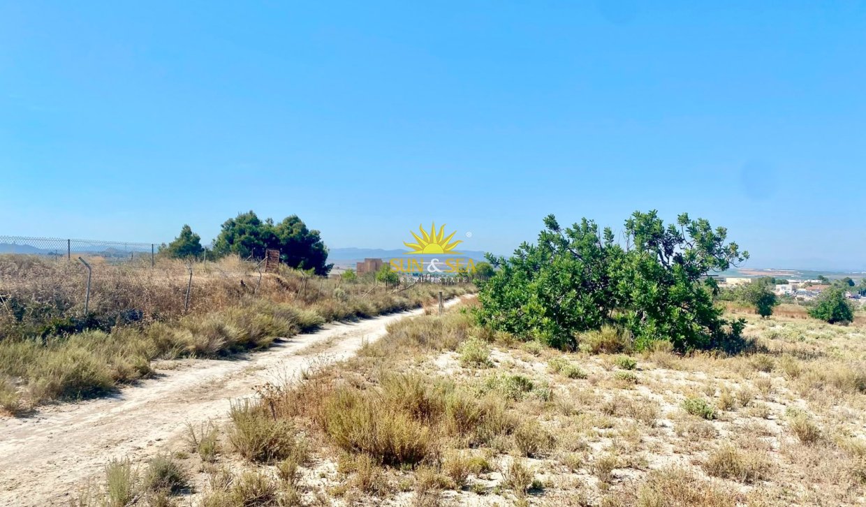 Reventa - Finca -  - San Miguel de Salinas