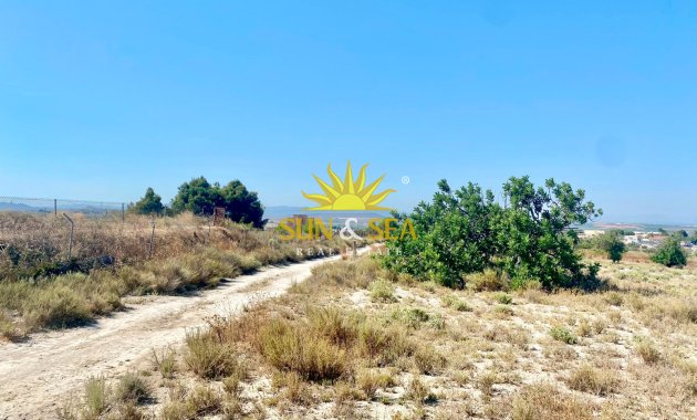 Reventa - Finca -  - San Miguel de Salinas
