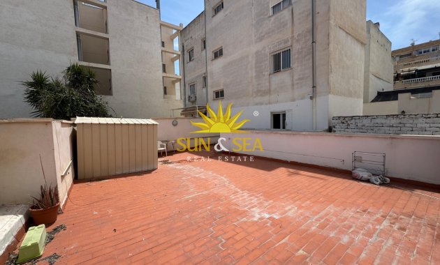 Alquiler de invierno - Estudio - Torrevieja - torrevieja