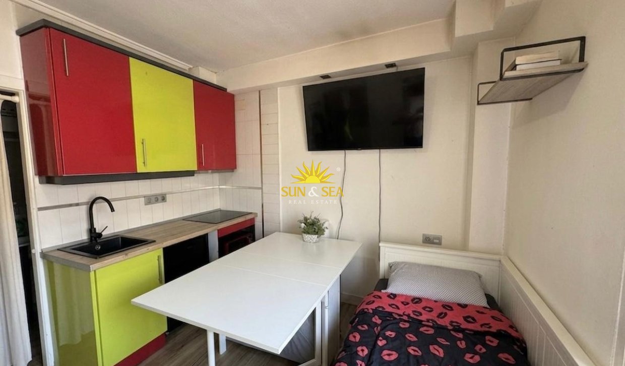 Alquiler de invierno - Estudio - Torrevieja - torrevieja