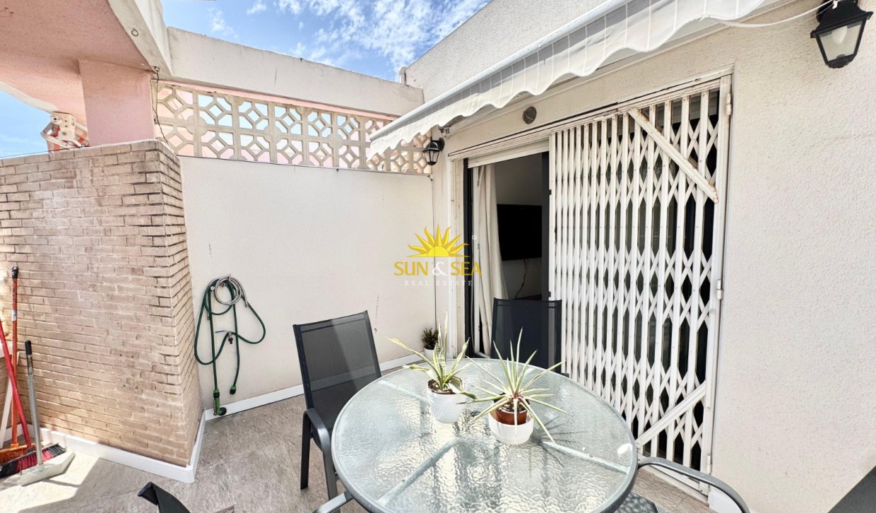 Kurzzeit-Vermietung - Penthouse - Torrevieja - torrevieja
