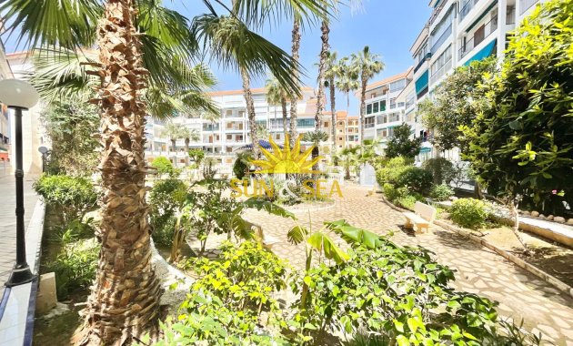 Resale - Studio apartment - Torrevieja - La Mata