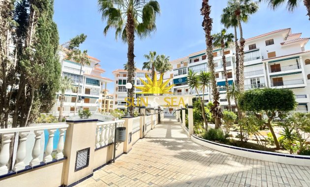 Resale - Studio apartment - Torrevieja - La Mata