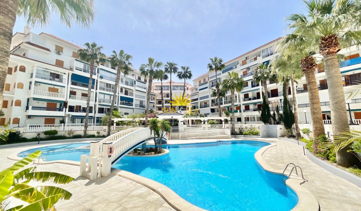 Resale - Studio apartment - Torrevieja - La Mata