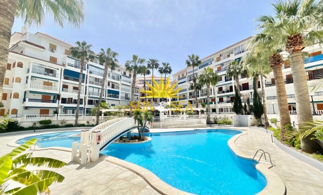 Resale - Studio apartment - Torrevieja - La Mata