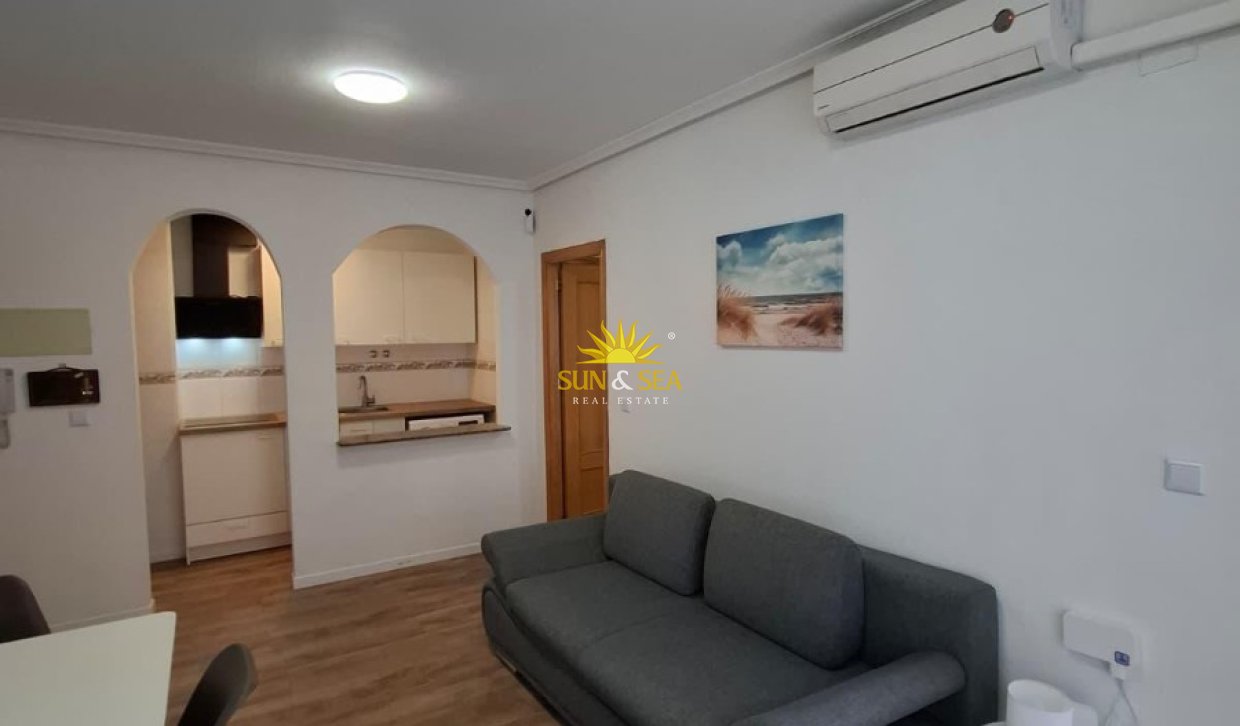 Alquiler a largo plazo - Apartamento - Torrevieja - torrevieja