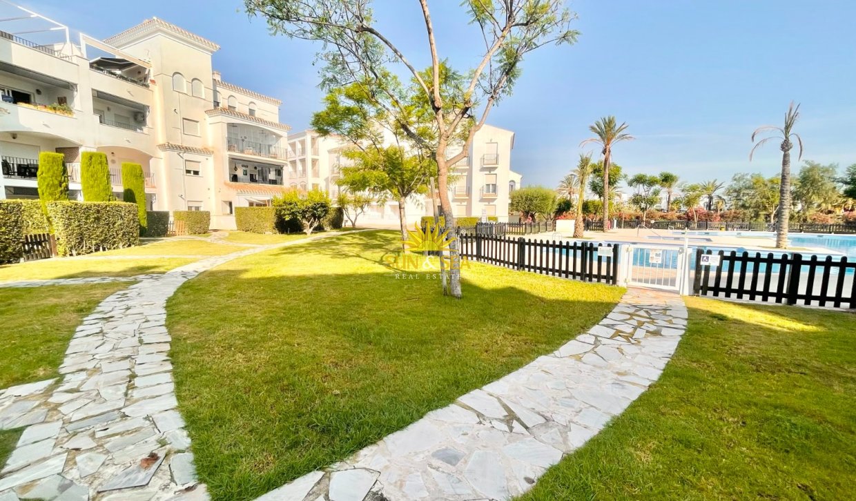 Alquiler a largo plazo - Apartamento - Roldan - Torre Pacheco