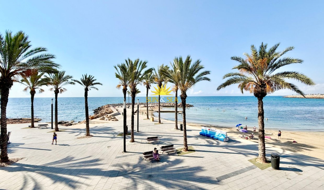 Alquiler a largo plazo - Apartamento - Torrevieja - torrevieja