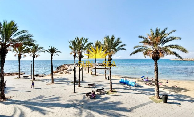 Alquiler a largo plazo - Apartamento - Torrevieja - torrevieja