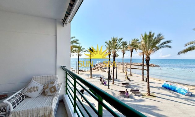 Alquiler a largo plazo - Apartamento - Torrevieja - torrevieja