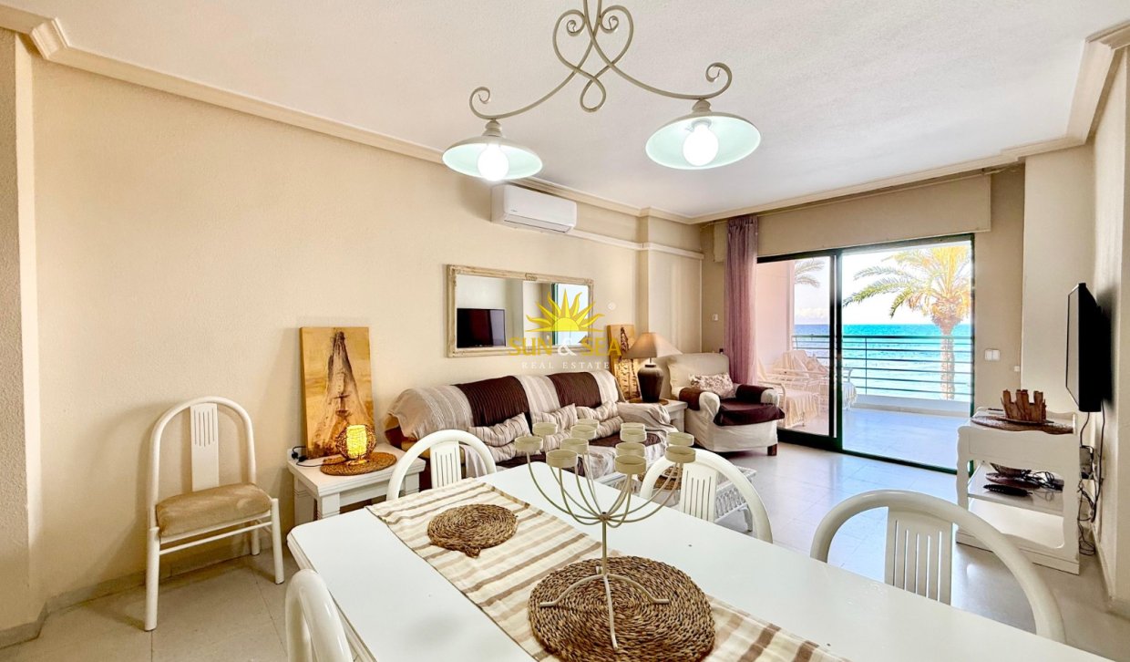 Alquiler a largo plazo - Apartamento - Torrevieja - torrevieja