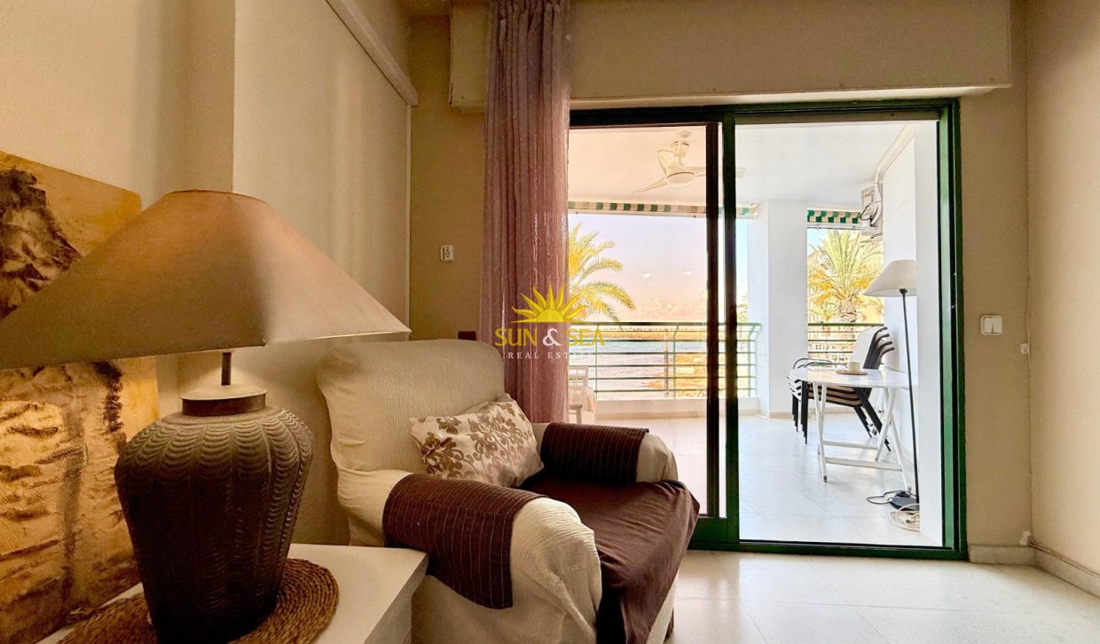 Alquiler a largo plazo - Apartamento - Torrevieja - torrevieja