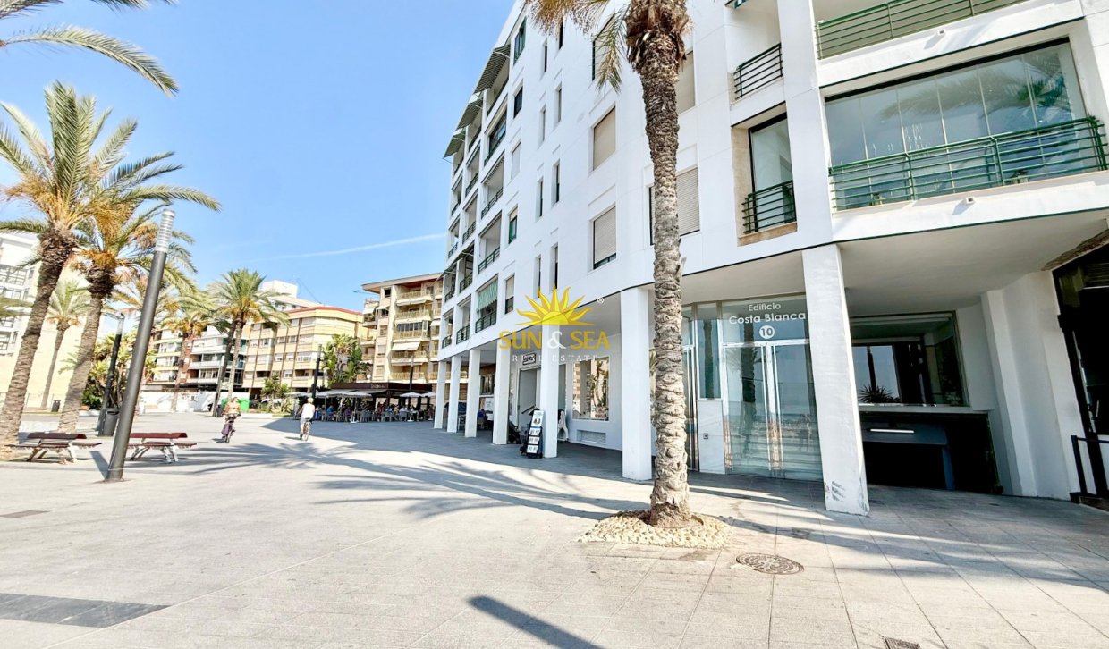 Alquiler a largo plazo - Apartamento - Torrevieja - torrevieja