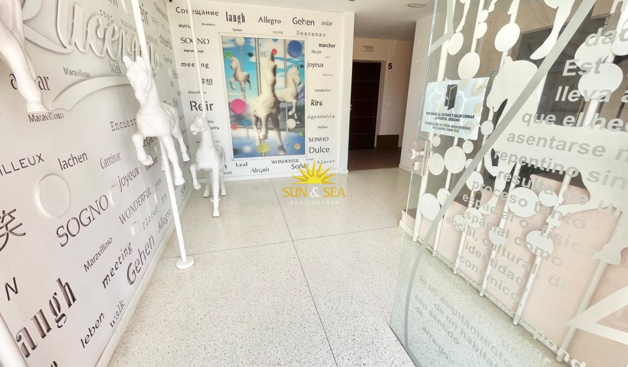 Alquiler de invierno - Apartamento - Pilar de la Horadada - Mil Palmeras