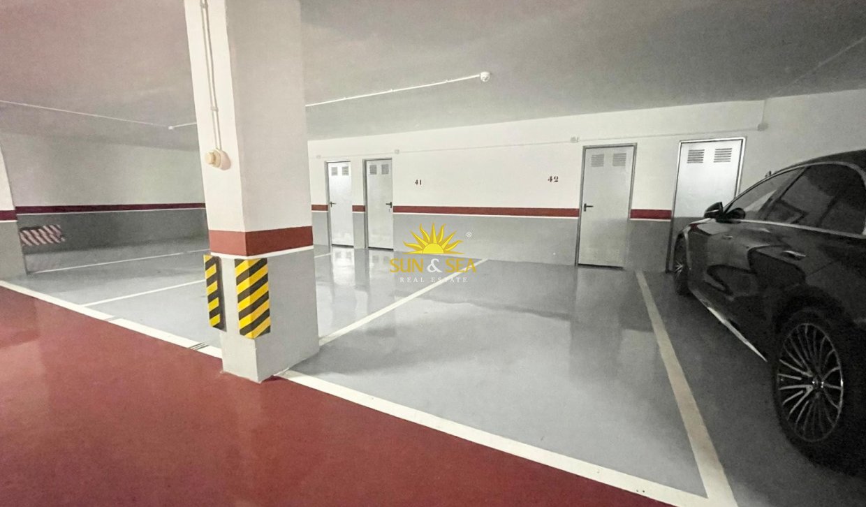 Alquiler de invierno - Apartamento - Pilar de la Horadada - Mil Palmeras