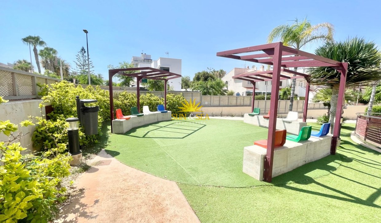 Alquiler de invierno - Apartamento - Pilar de la Horadada - Mil Palmeras