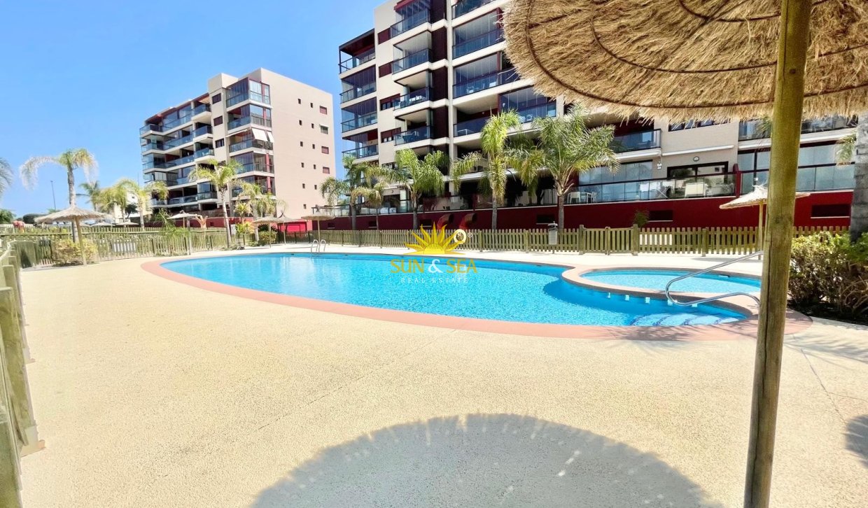 Alquiler de invierno - Apartamento - Pilar de la Horadada - Mil Palmeras