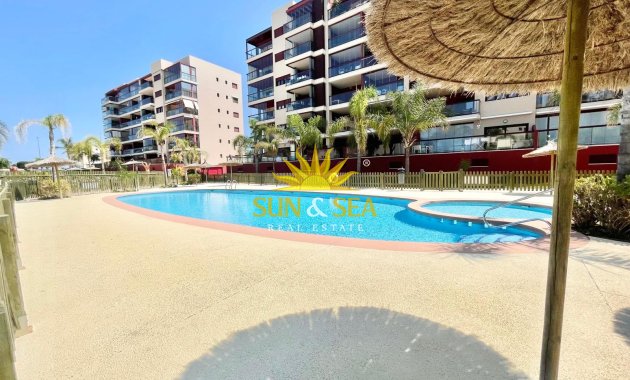 Alquiler de invierno - Apartamento - Pilar de la Horadada - Mil Palmeras