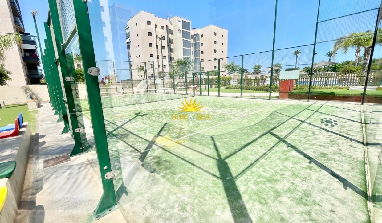 Alquiler de invierno - Apartamento - Pilar de la Horadada - Mil Palmeras