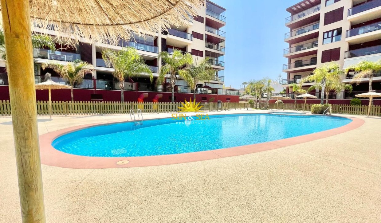 Alquiler de invierno - Apartamento - Pilar de la Horadada - Mil Palmeras