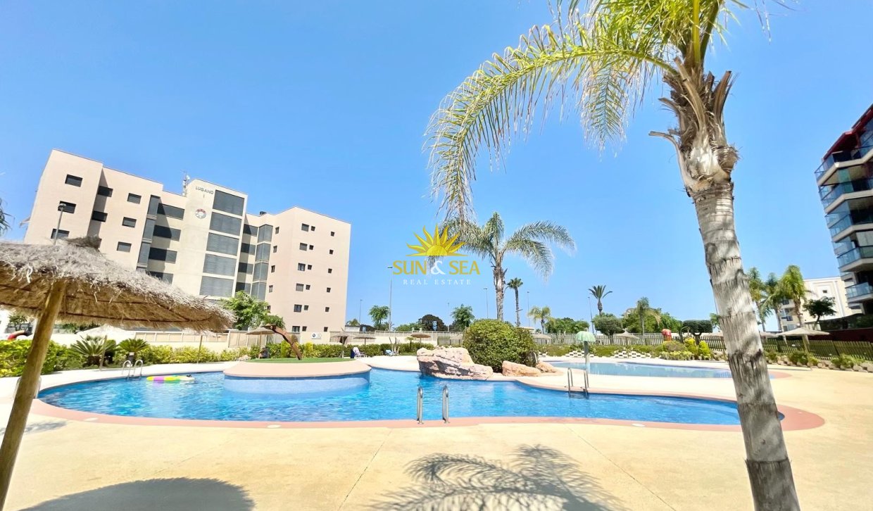 Alquiler de invierno - Apartamento - Pilar de la Horadada - Mil Palmeras