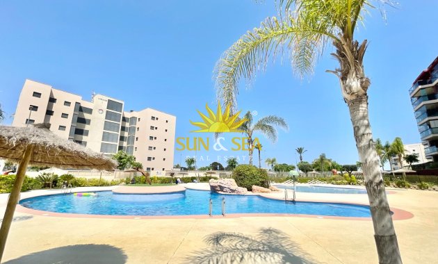 Alquiler de invierno - Apartamento - Pilar de la Horadada - Mil Palmeras