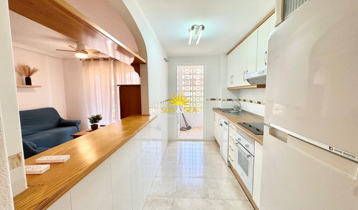 Alquiler de invierno - Apartamento - Orihuela Costa