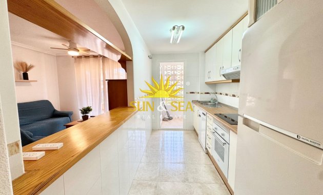Alquiler de invierno - Apartamento - Orihuela Costa