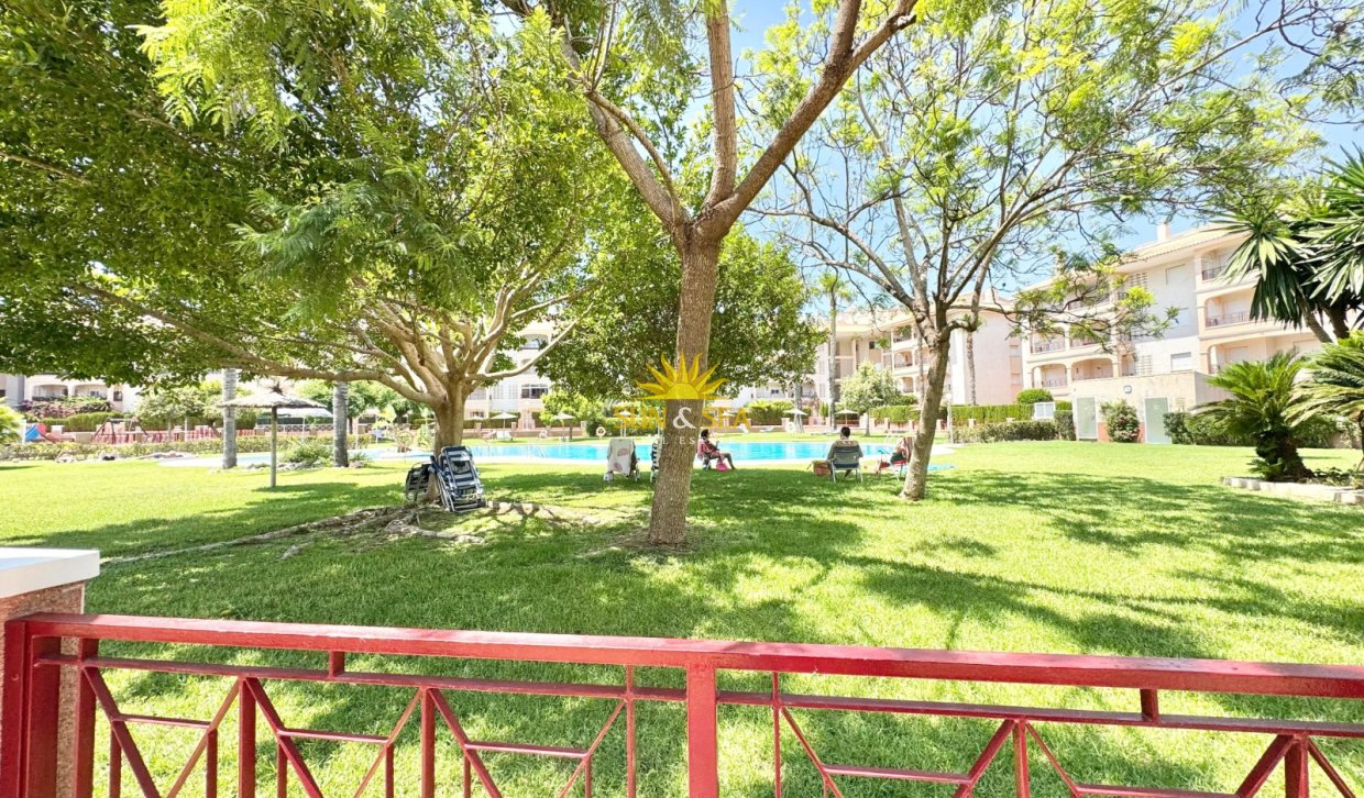 Alquiler de invierno - Apartamento - Orihuela Costa