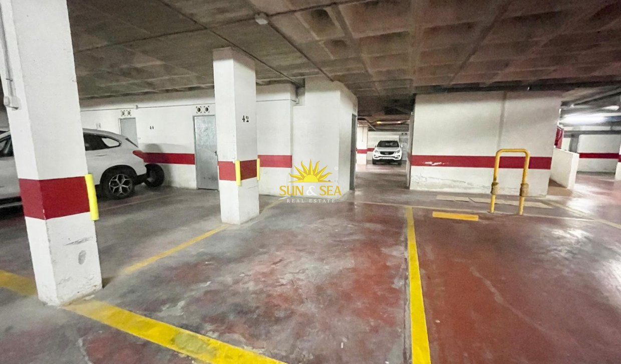 Alquiler de invierno - Apartamento - Guardamar del Segura - guardamar del segura