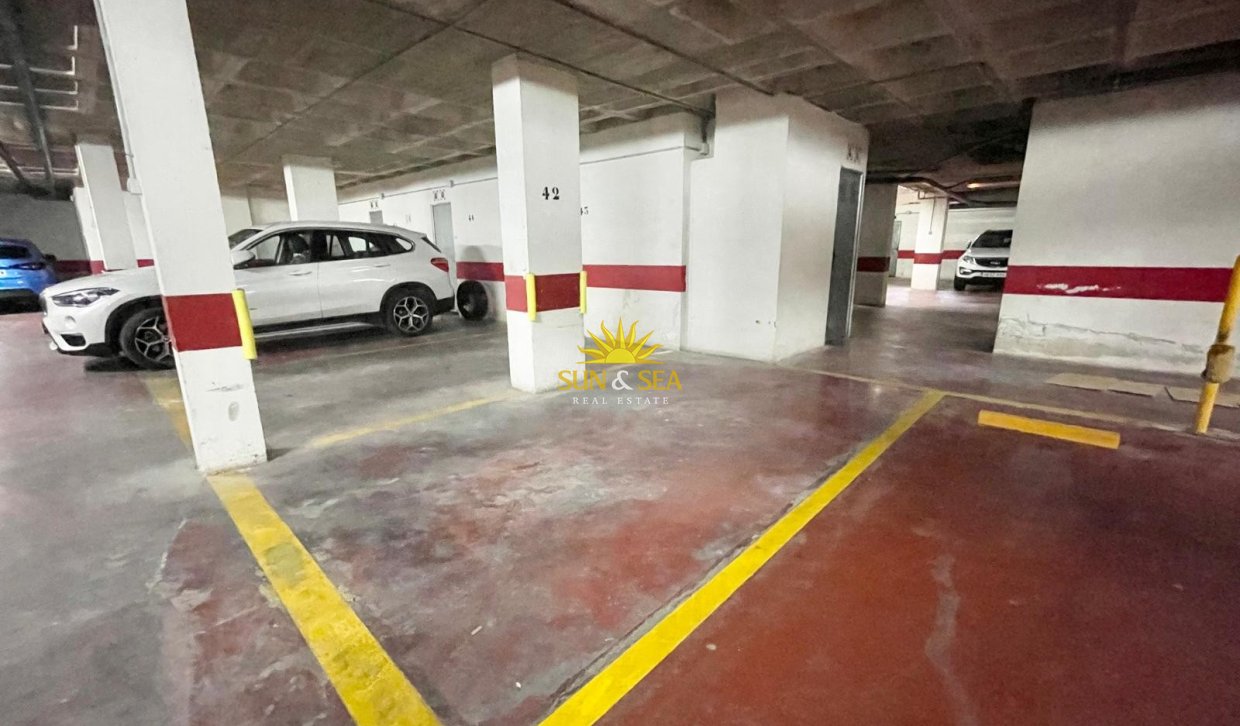 Alquiler de invierno - Apartamento - Guardamar del Segura - guardamar del segura