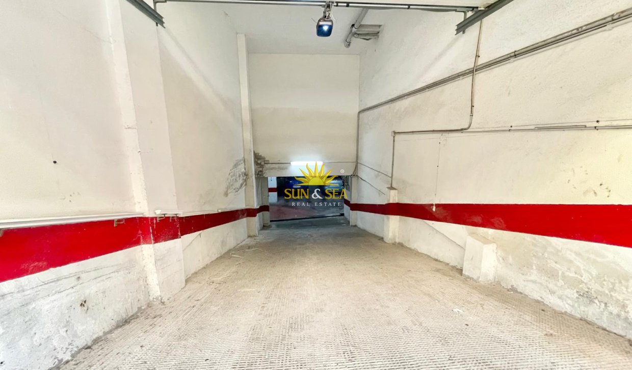 Alquiler de invierno - Apartamento - Guardamar del Segura - guardamar del segura