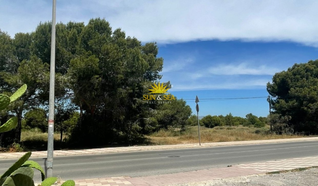 Alquiler a largo plazo - Chalet - San Fulgencio