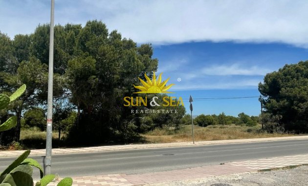 Alquiler a largo plazo - Chalet - San Fulgencio