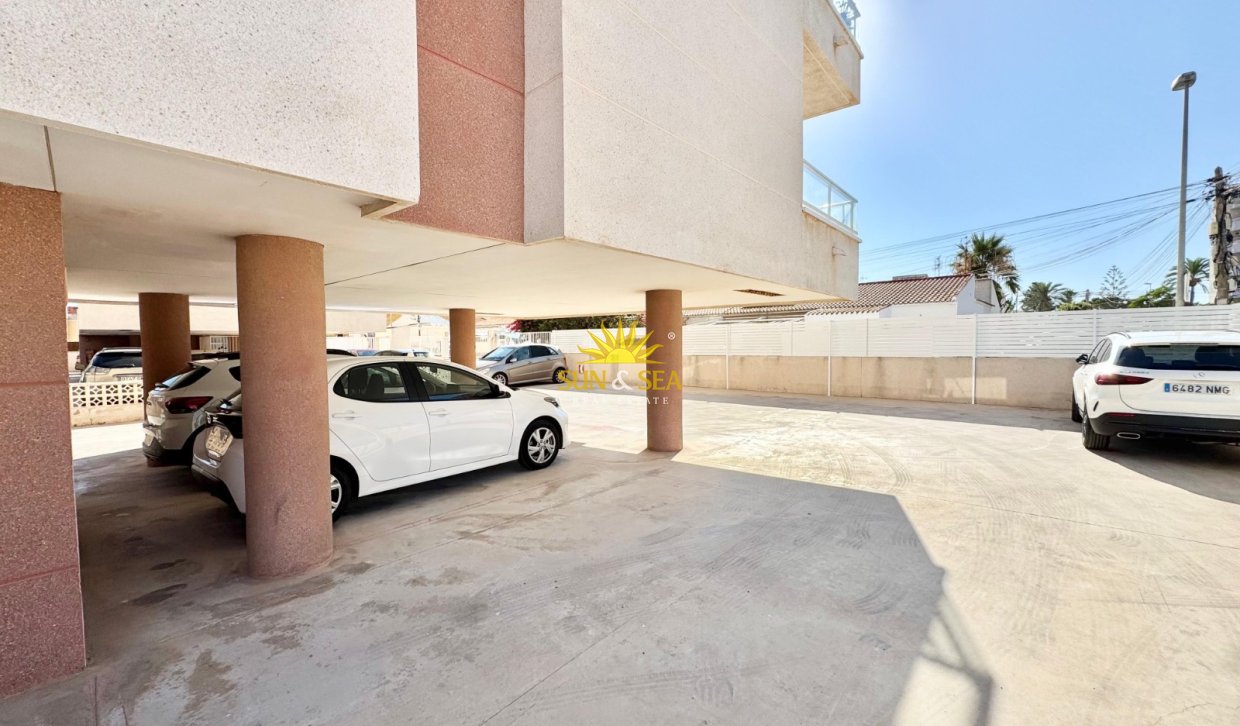 Alquiler a largo plazo - Apartamento - Torrevieja - torrevieja