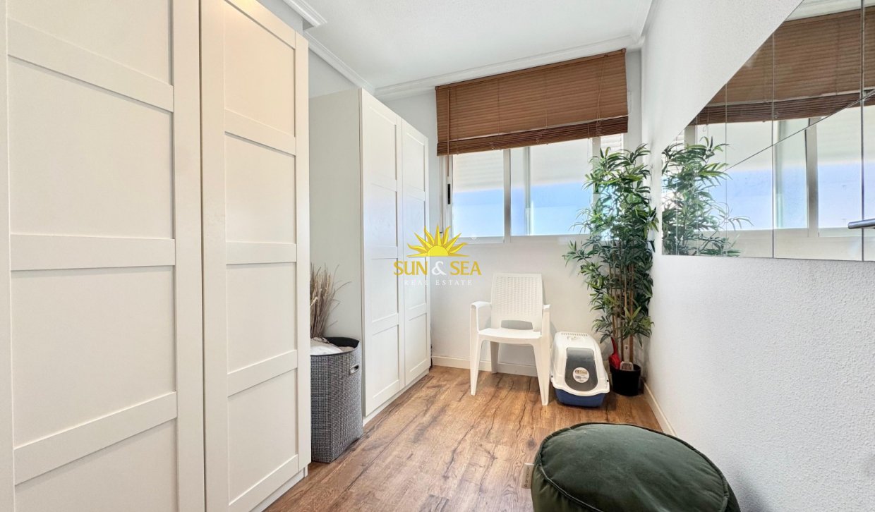 Alquiler a largo plazo - Apartamento - Torrevieja - torrevieja