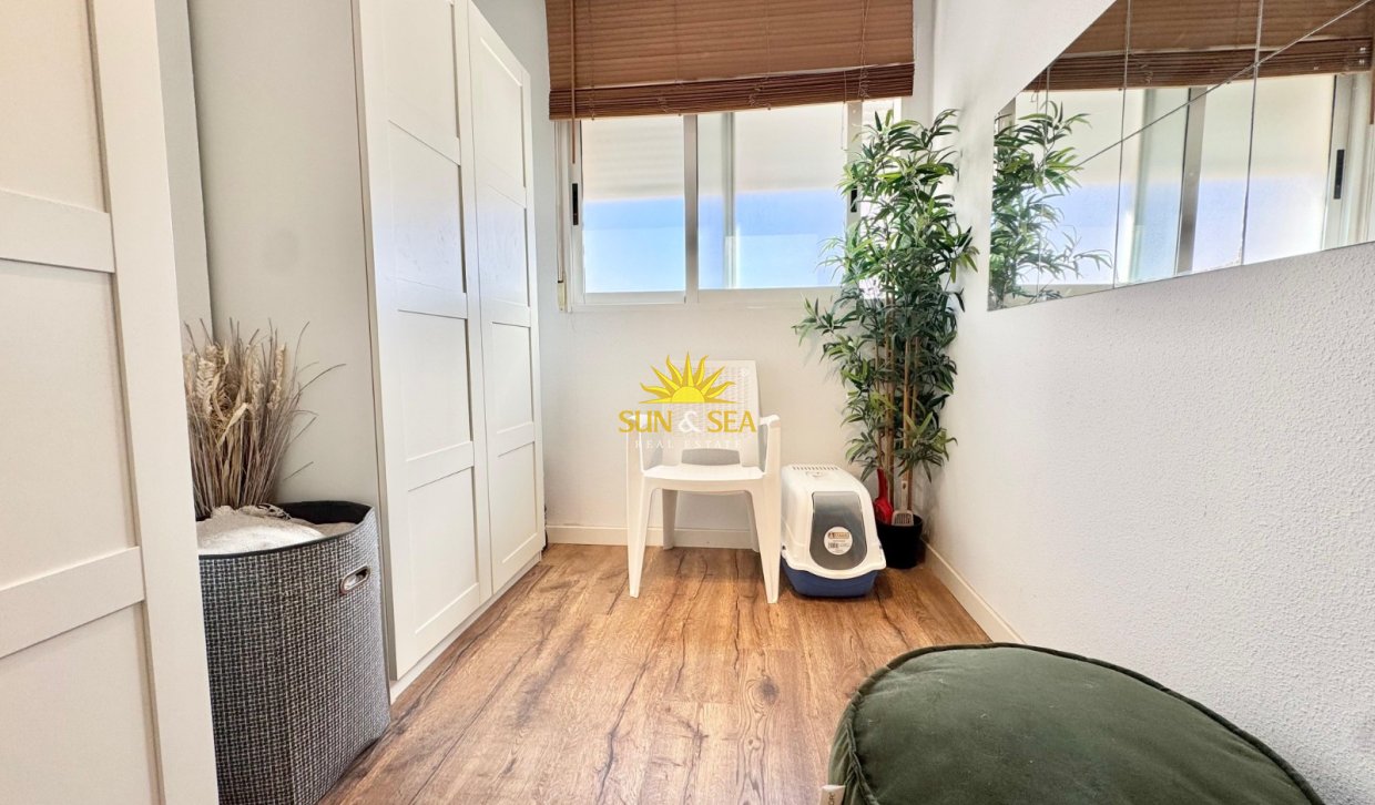 Alquiler a largo plazo - Apartamento - Torrevieja - torrevieja