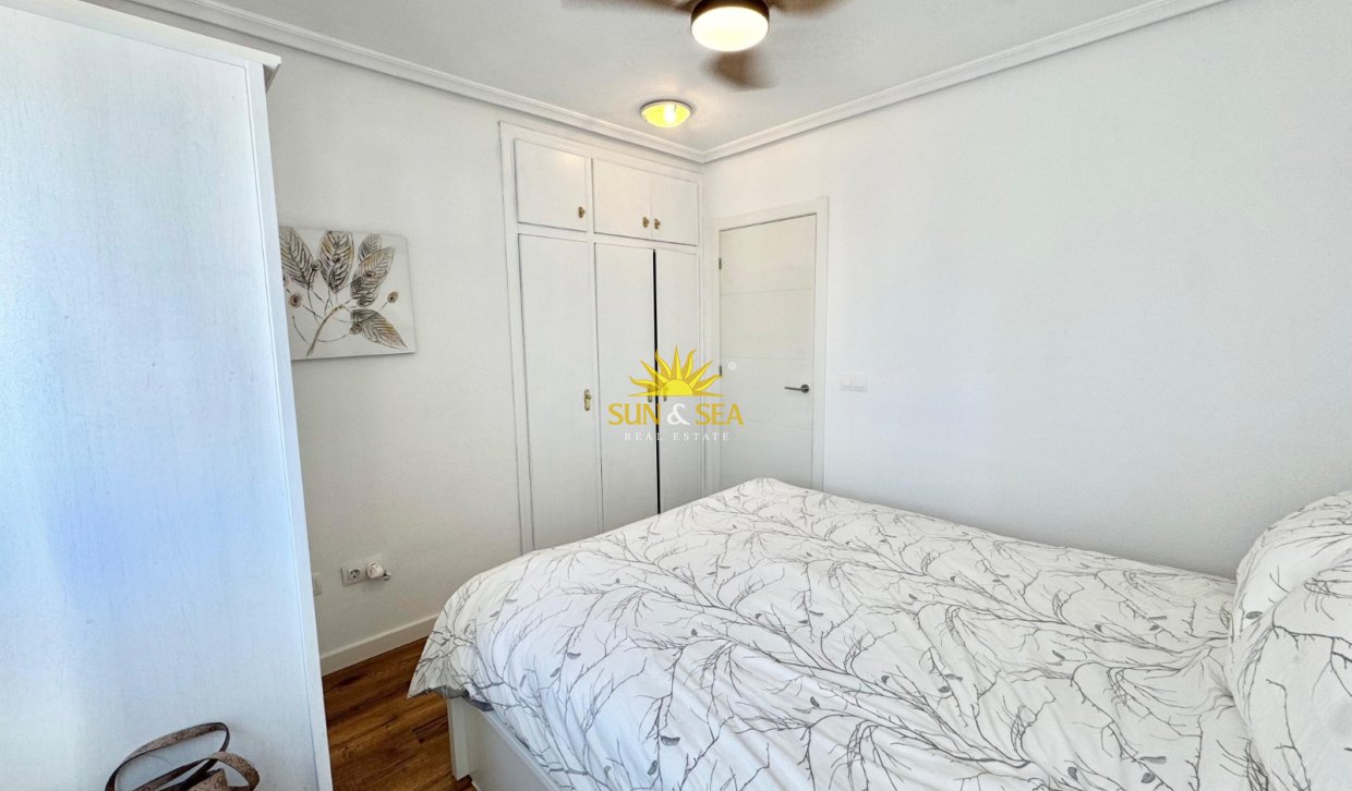 Alquiler a largo plazo - Apartamento - Torrevieja - torrevieja