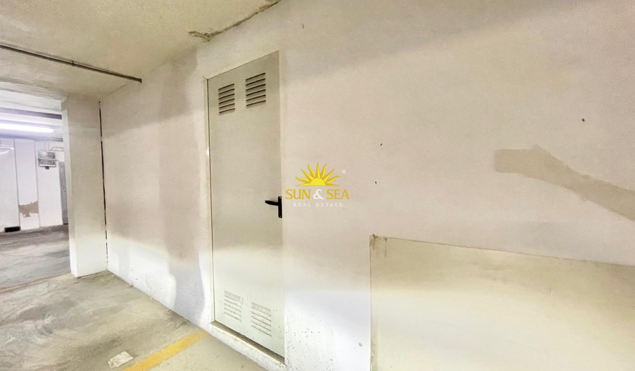 Alquiler de invierno - Apartamento - Torrevieja - torrevieja