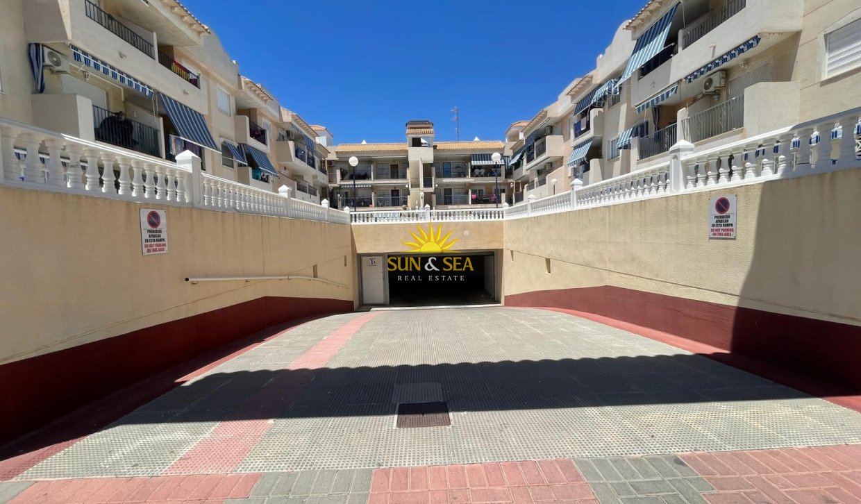 Alquiler de invierno - Apartamento - Torrevieja - torrevieja