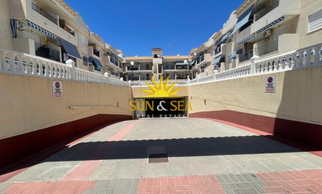 Alquiler de invierno - Apartamento - Torrevieja - torrevieja