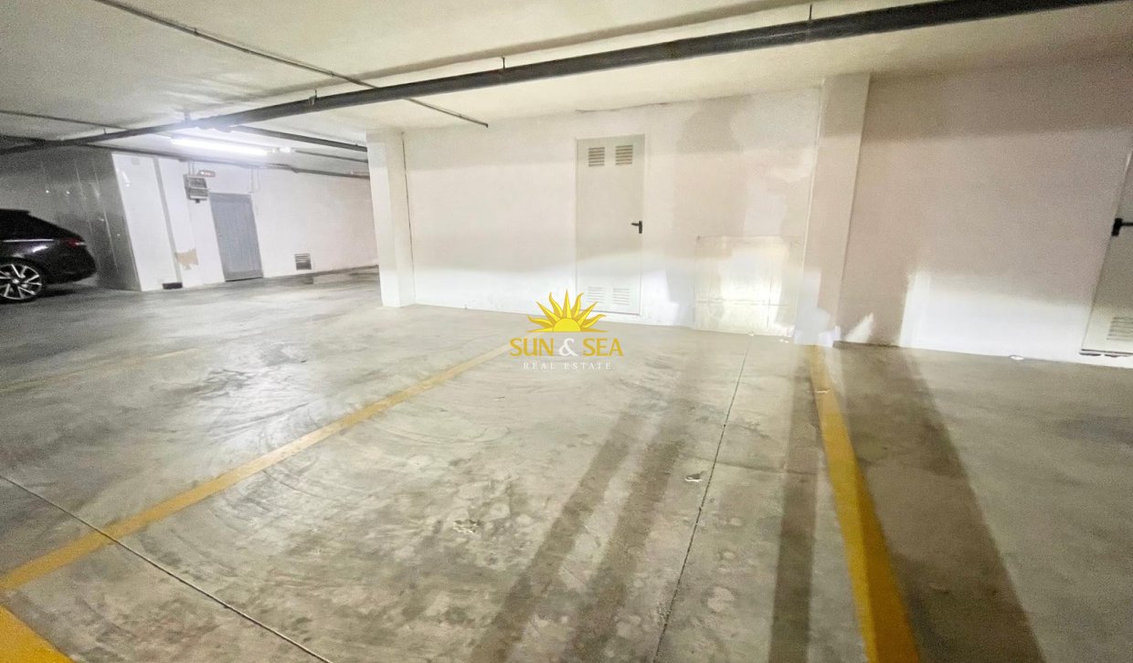 Alquiler de invierno - Apartamento - Torrevieja - torrevieja