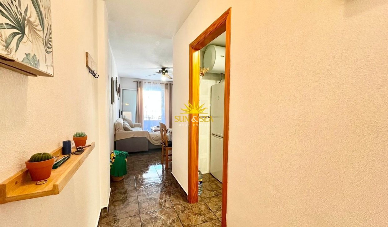 Alquiler de invierno - Apartamento - Torrevieja - torrevieja