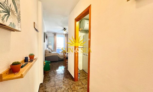 Alquiler de invierno - Apartamento - Torrevieja - torrevieja